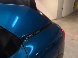 
										Citroen C4 Cactus 1.5 Blue-HDi Feel Business full									