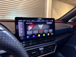
										Cupra Formentor VZ 2.0 TSI 310 DSG 4Drive full									