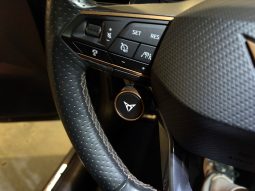 
										Cupra Formentor VZ 2.0 TSI 310 DSG 4Drive full									