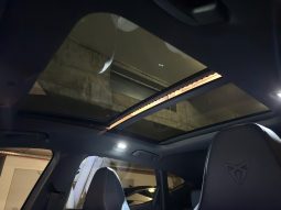 
										Cupra Formentor VZ 2.0 TSI 310 DSG 4Drive full									